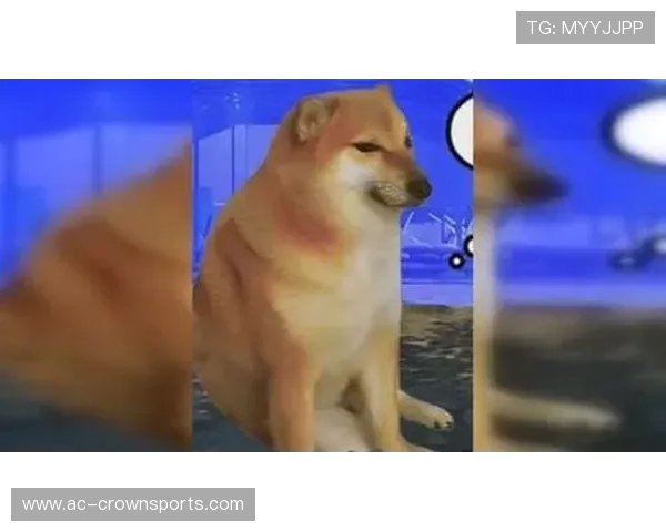 《探索狗狗地铁逃生新挑战和游戏玩法，感受刺激与乐趣的结合》